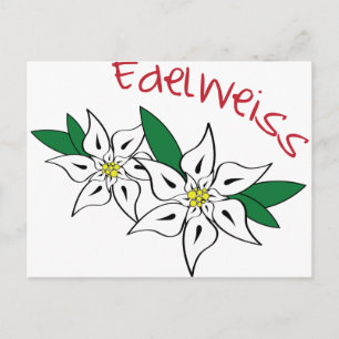 Carte Postale Edelweiss