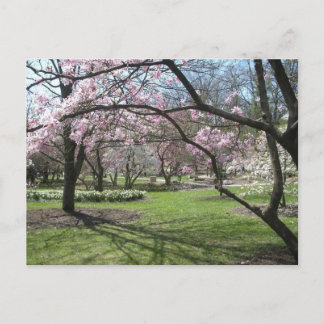 Carte Postale Eden Park Cincinnati, Ohio au printemps