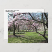 Carte Postale Eden Park Cincinnati, Ohio au printemps (Devant / Derrière)