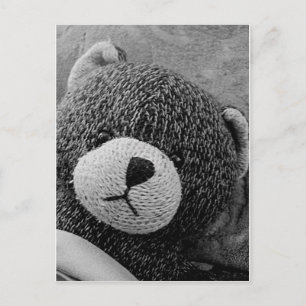 Carte Postale Edgar Shadows Sweet Teddy !