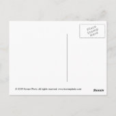 Carte Postale Édimbourg, Écosse (Dos)