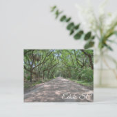 Carte postale Edisto (Debout devant)