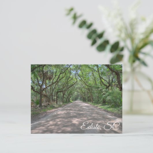 Carte postale Edisto (Debout devant)