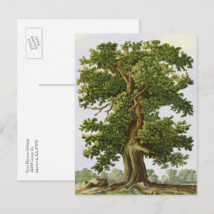 Carte postale Editable Vintage Oak Tree