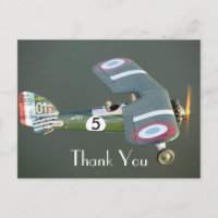 Édition anniversaire avion de chasse vintage Merci