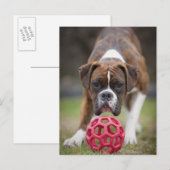 Carte Postale edmonton, alberta canada (Devant / Derrière)