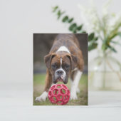 Carte Postale edmonton, alberta canada (Debout devant)