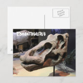 Carte Postale Edmontosaurus (Devant / Derrière)