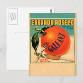 Carte Postale Eduardo Rosello Gallant, Étiquette de fruits (Devant / Derrière)