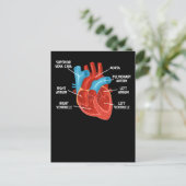 Carte Postale Éducation en anatomie cardiaque Cardiologie (Debout devant)
