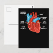 Carte Postale Éducation en anatomie cardiaque Cardiologie (Devant / Derrière)