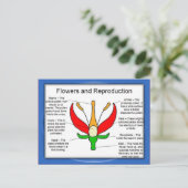 Carte Postale Éducation, science, fleurs et reproduction (Debout devant)