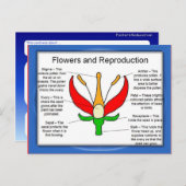 Carte Postale Éducation, science, fleurs et reproduction (Devant / Derrière)