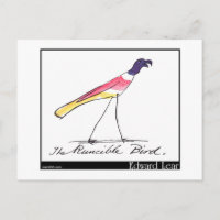 Edward Lear et ses oiseaux ramenés