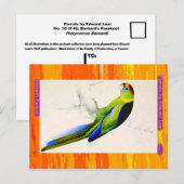 Carte Postale Edward Lear. La Perruque de Barnard. (Devant / Derrière)