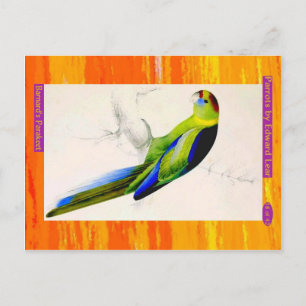 Carte Postale Edward Lear. La Perruque de Barnard.