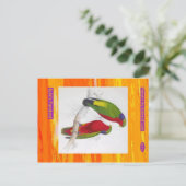 Carte Postale Edward Lear. Le Parakeet de Kuhl. (Debout devant)