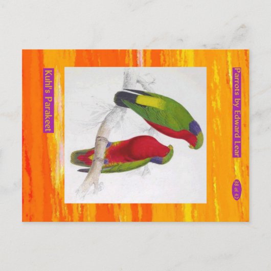 Carte Postale Edward Lear. Le Parakeet de Kuhl. (Devant)
