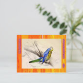 Carte Postale Edward Lear. Parakeet à tête pâle. (Debout devant)