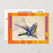 Carte Postale Edward Lear. Parakeet à tête pâle. (Devant / Derrière)