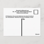 Carte Postale Edward Lear. Parakeet à tête pâle. (Dos)