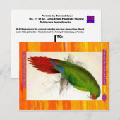 Carte Postale Edward Lear. Parakeet Macaw à long prix. (Devant / Derrière)