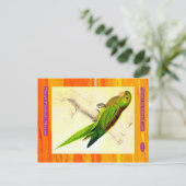 Carte Postale Edward Lear. Parakeet nain Macaw. (Debout devant)