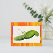 Carte Postale Edward Lear. Parakeet Uniforme. (Debout devant)