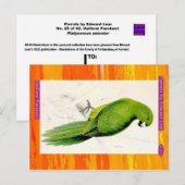 Carte Postale Edward Lear. Parakeet Uniforme. (Devant / Derrière)