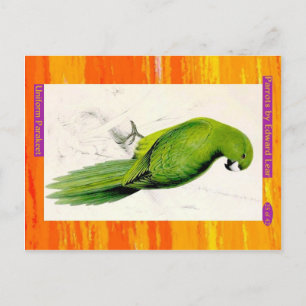 Carte Postale Edward Lear. Parakeet Uniforme.