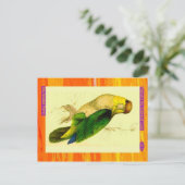 Carte Postale Edward Lear. Parrot à tête blanche. (Debout devant)