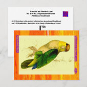 Carte Postale Edward Lear. Parrot à tête blanche. (Devant / Derrière)