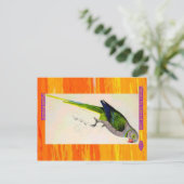 Carte Postale Edward Lear. Pigeon Parakeet. (Debout devant)