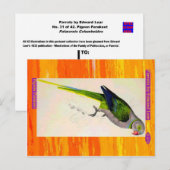Carte Postale Edward Lear. Pigeon Parakeet. (Devant / Derrière)