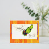 Carte Postale Edward Lear. Swindern's Parakeet. (Debout devant)