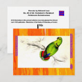 Carte Postale Edward Lear. Swindern's Parakeet. (Devant / Derrière)