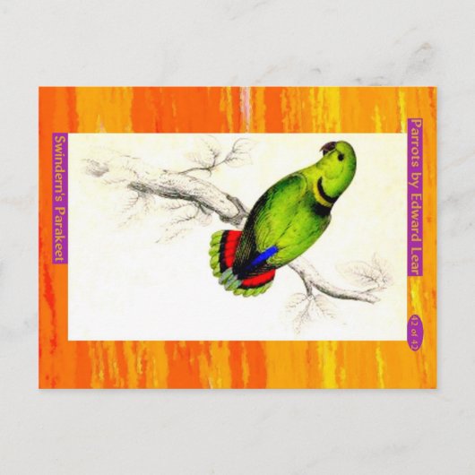 Carte Postale Edward Lear. Swindern's Parakeet. (Devant)