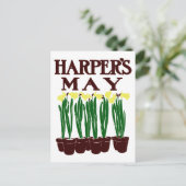 Carte Postale Edward Penfield Daffodils de Harper en 1899 (Debout devant)