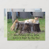 Carte Postale Eeny Meeny Miney Moe ... (Devant / Derrière)