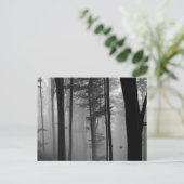 CARTE POSTALE EERIE FOREST TREIDS FEUILLE B&W (Debout devant)