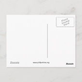 Carte Postale Effacer les isolateurs en verre (Dos)