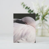 Carte Postale Effet de dessin de portrait de flamant rose Art (Debout devant)