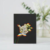 Carte Postale Effet de lueur de fleur d'orchidée (Debout devant)