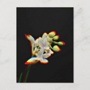 Carte Postale Effet de lueur de fleur d'orchidée