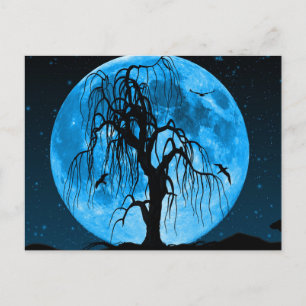 Carte postale Effrayant de la nuit d'Halloween