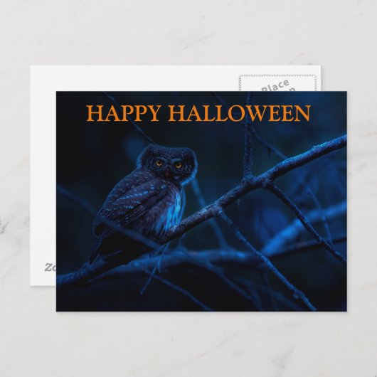 Carte postale Effrayant Halloween Night with Owls (Devant / Derrière)