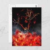 Carte Postale Éffrayante Halloween sorcière brûler (Devant / Derrière)