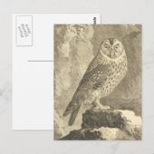 Carte postale Éffrayante Halloween Tawny Owl (Devant / Derrière)