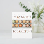 CARTE POSTALE ÉGALEMENT (Debout devant)