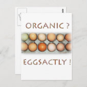 CARTE POSTALE ÉGALEMENT (Devant / Derrière)